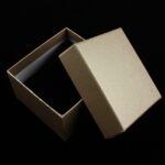 cutie-cadou-aramie-pentru-bijuterii-cu-pernita-55x8x85cm.jpg