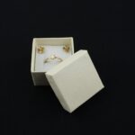 cutie-cadou-ivory-pentru-inel-sau-cercei-35x45x45cm-32.jpg
