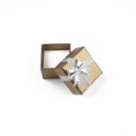 cutie-cadou-maro-pentru-inel-sau-cercei-25x4x4cm.jpg