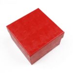 cutie-cadou-pentru-bijuterii-cu-pernita-55x8x85cm-52.jpg