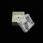 cutie-cadou-pentru-inel-sau-cercei-35x45x45cm-138.jpg