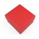 cutie-cadou-rosie-pentru-bijuterii-cu-pernita-55x8x85cm-13.jpg