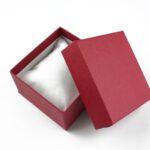 cutie-cadou-rosie-pentru-bijuterii-cu-pernita-55x8x8cm.jpg