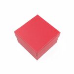 cutie-cadou-rosie-pentru-bijuterii-cu-pernita-55x8x8cm-4.jpg