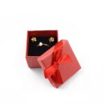 cutie-cadou-rosie-pentru-inel-sau-cercei-35x45x45cm-40.jpg