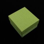 cutie-cadou-verde-pentru-bijuterii-cu-pernita-55x8x85cm-1.jpg