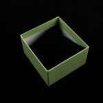 cutie-cadou-verde-pentru-bijuterii-cu-pernita-55x8x85cm-2.jpg