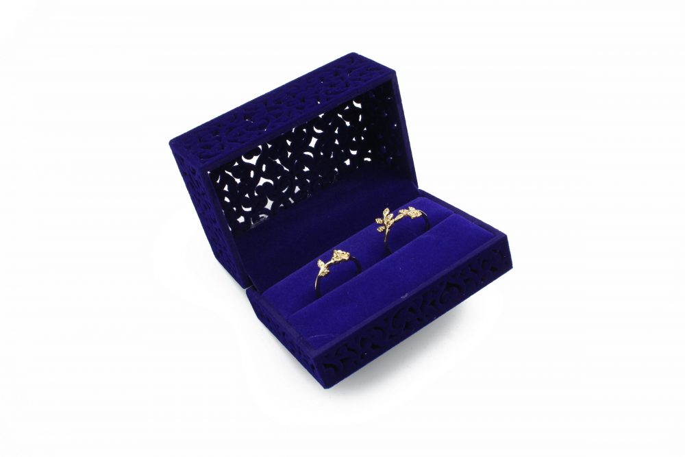 2022_01_30_3738_mod_small