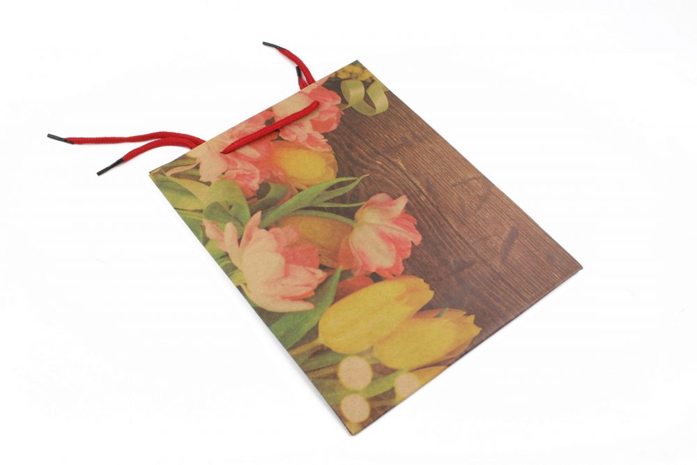 2023_03_28_6145_mod_small