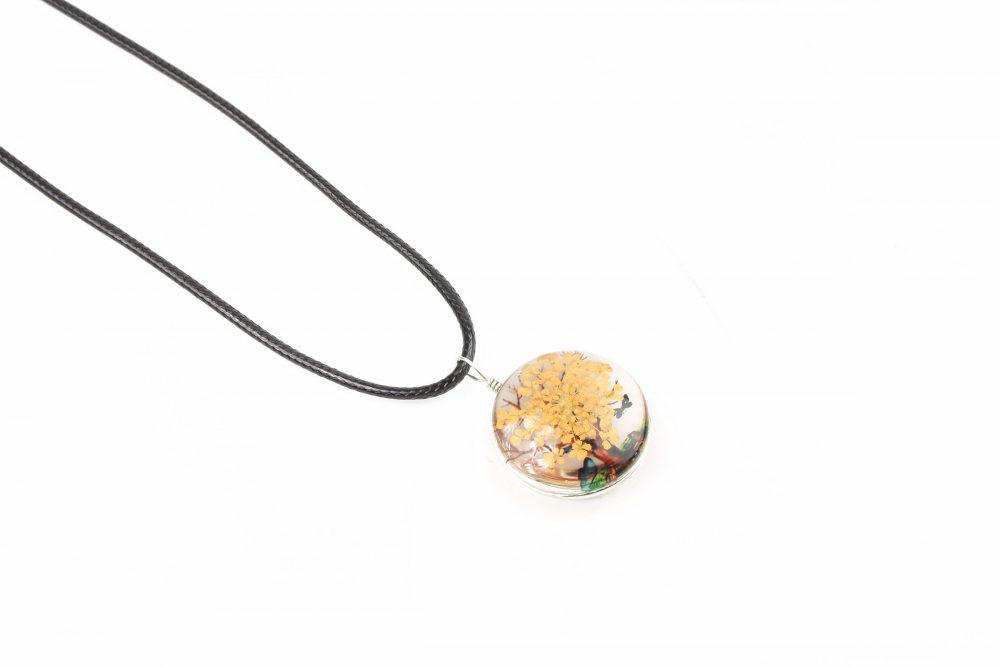 2023_08_02_6988_mod_small