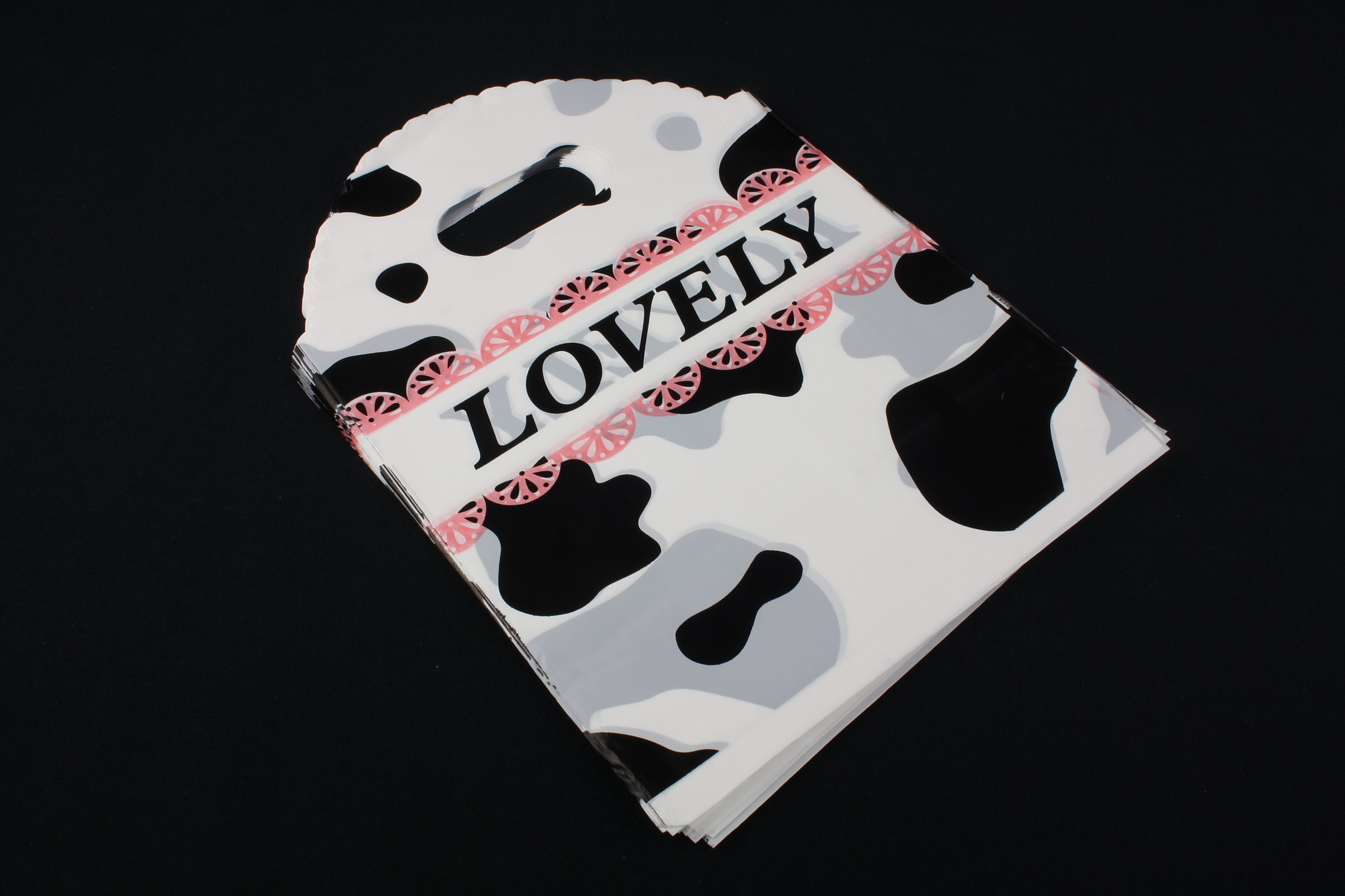 2025_01_17_9369_small